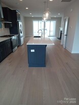 1033 Naples Dr in Davidson, NC - Building Photo