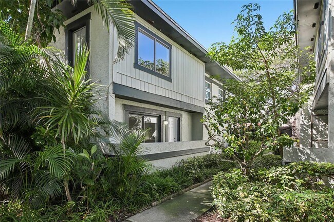 2906 Lichen Ln in Clearwater, FL - Building Photo - Building Photo