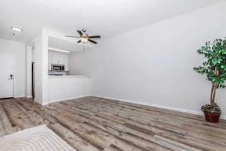Paloma Vista in San Jose, CA - Building Photo - Building Photo