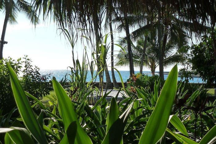 75-5776-5776 Kuakini Hwy in Kailua Kona, HI - Building Photo