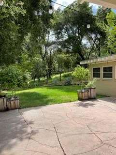 property at 1449 Portola Rd
