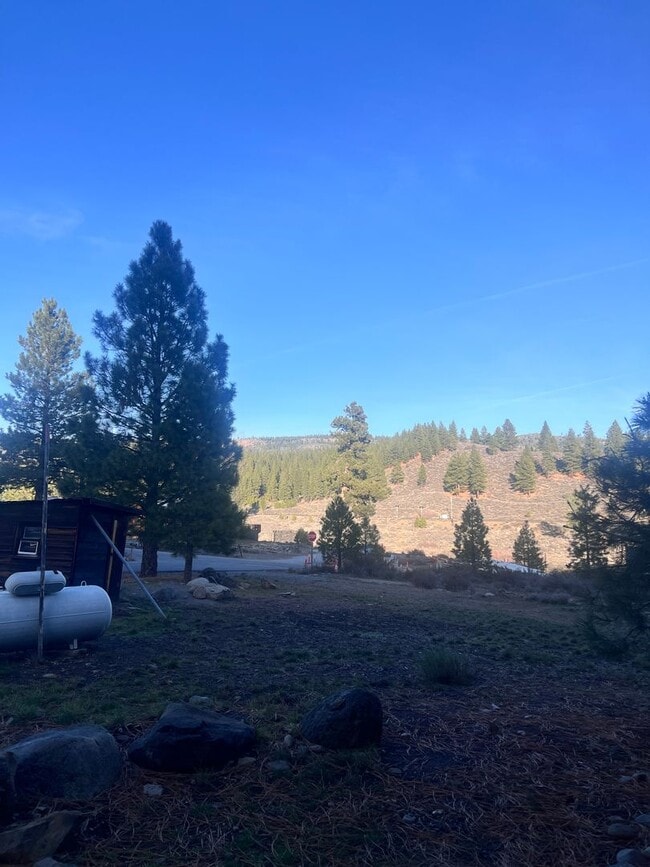 10831 Floriston Ave in Truckee, CA - Building Photo - Building Photo