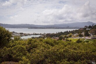 24 Red Hill Cir in Tiburon, CA - Building Photo - Building Photo