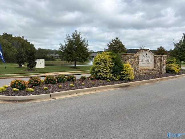 105 High Leaf Dr in Harvest, AL - Building Photo - Building Photo