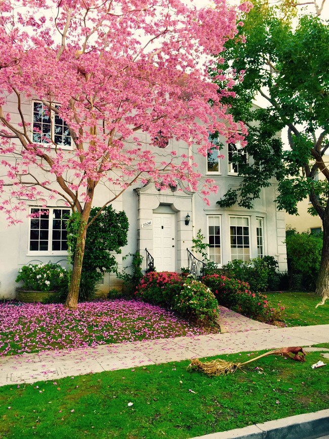 9924 Robbins Dr Rentals in Beverly Hills, CA