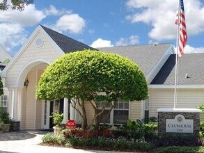 3311 Haviland Ct in Palm Harbor, FL - Building Photo - Building Photo