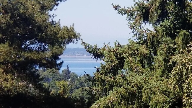 1709 Edwards Ct in Bellingham, WA - Foto de edificio - Building Photo