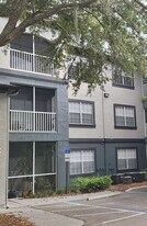 12904 Sanctuary Cove Dr in Temple Terrace, FL - Building Photo