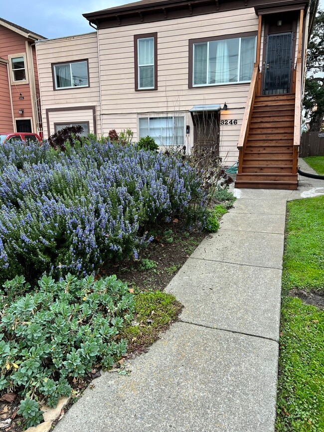 3246 Magnolia St, Unit B in Oakland, CA - Building Photo - Building Photo