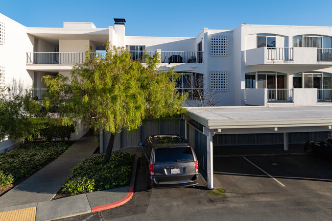 Shelter Bay Condos in Mill Valley, CA - Building Photo - Building Photo