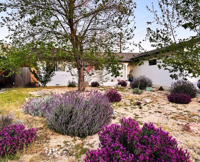 203 Montrose Dr in Folsom, CA - Building Photo - Building Photo