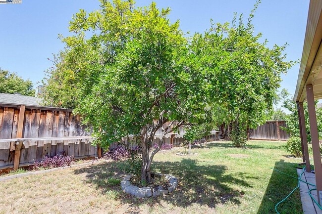 850 Tanager Rd in Livermore, CA - Foto de edificio - Building Photo
