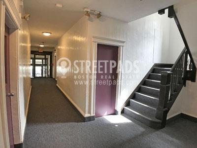 4 Elko St in Boston, MA - Building Photo - Building Photo
