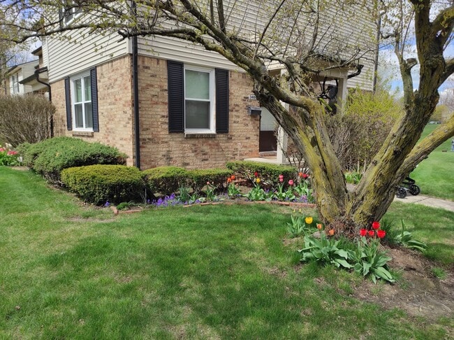 property at 3486 Burbank Dr