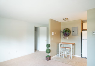 Coachlight Village Apartments in Agawam, MA - Building Photo - Building Photo