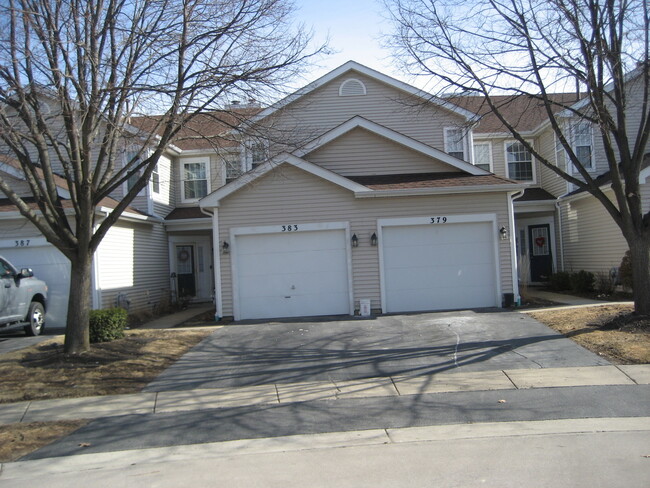 383 Glen Byrn Ct in Schaumburg, IL - Building Photo - Building Photo