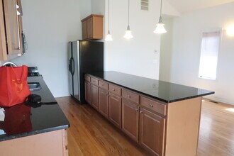 3541 S Hamilton Ave in Chicago, IL - Building Photo - Building Photo