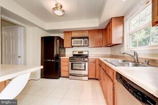 12264 Dapple Gray Ct in Woodbridge, VA - Building Photo