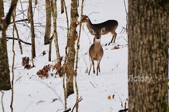 1199 Berwick Rd in Birmingham, AL - Building Photo - Building Photo