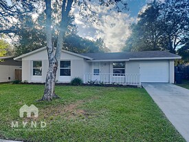 2233 Selkirk St in Valrico, FL - Building Photo