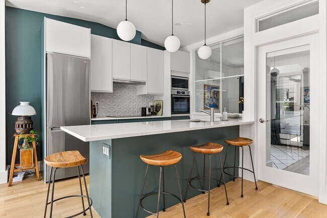 201 W Springfield St, Unit 3 in Boston, MA - Building Photo - Building Photo