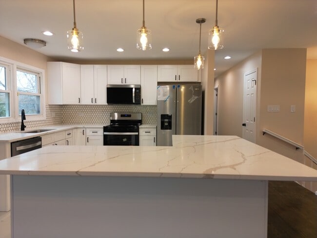 1338 Jill Terrace in Homewood, IL - Building Photo - Building Photo