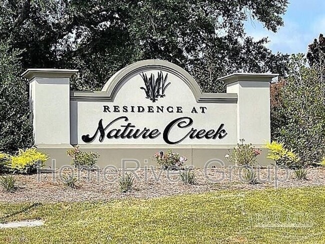 9641 Nature Creek Blvd in Bellview, FL - Building Photo - Building Photo