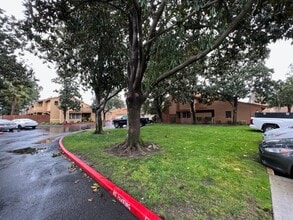 1236 W Roseburg Ave in Modesto, CA - Building Photo - Building Photo