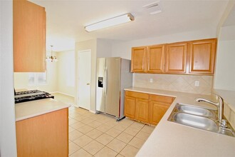 1143 Desert Palms Ln in Rosenberg, TX - Building Photo - Building Photo