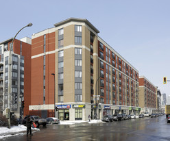 Terrasses Windsor in Montréal, QC - Building Photo - Building Photo