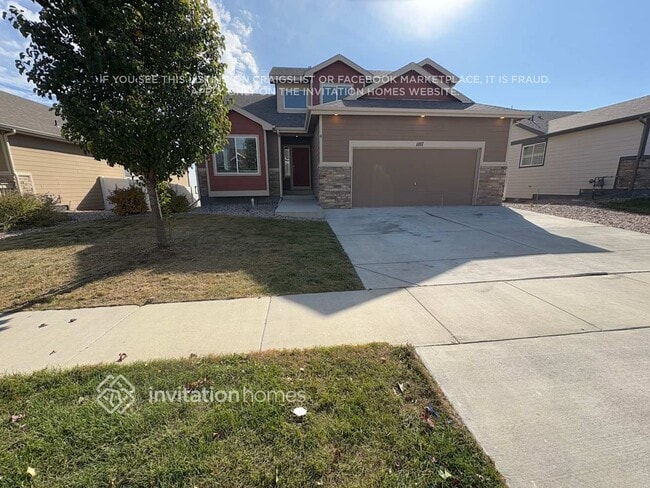 1107 Ibex Dr in Windsor, CO - Building Photo - Building Photo