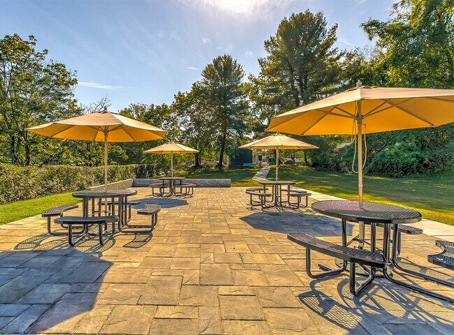 Falls Village Apartments photo'