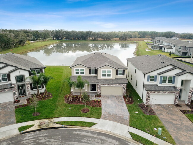 38190 Shale Stone Ct in Zephyrhills, FL - Building Photo - Building Photo