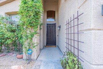 6525 E Paradise Ln in Scottsdale, AZ - Building Photo - Building Photo