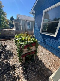 1019 Mullein Dr in Fort Collins, CO - Foto de edificio - Building Photo