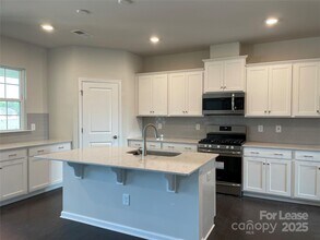 17618 Snug Harbor Rd in Charlotte, NC - Building Photo - Building Photo