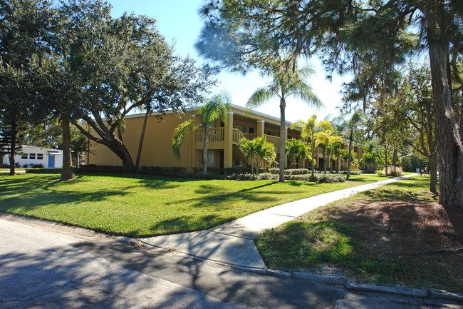 Romayne Apartments in St. Petersburg, FL - Building Photo - Building Photo