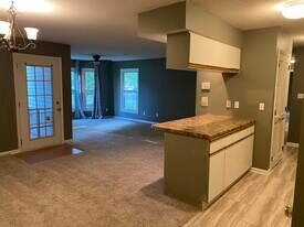 10229 Rose Meadow Ln in Charlotte, NC - Building Photo