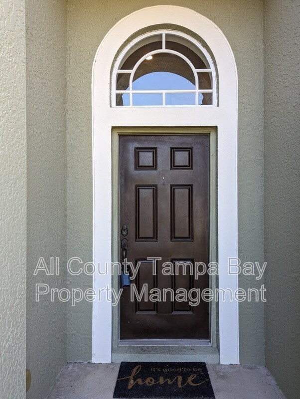 6743 Wild Elm Ct in Wesley Chapel, FL - Building Photo - Building Photo