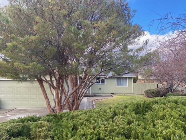 94 Zircon Dr in Reno, NV - Foto de edificio - Building Photo