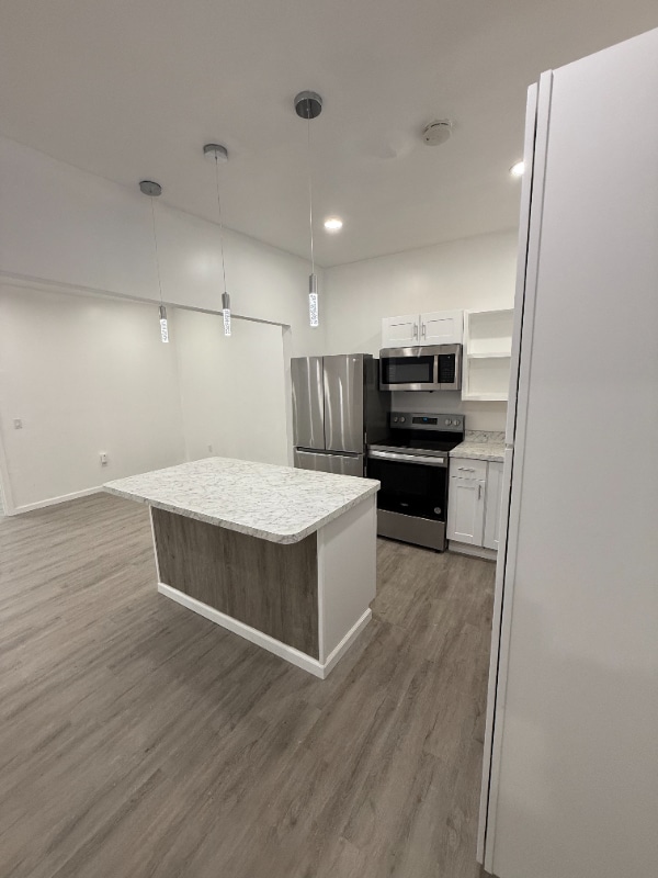 11 Trinity Pl in Albany, NY - Building Photo - Building Photo