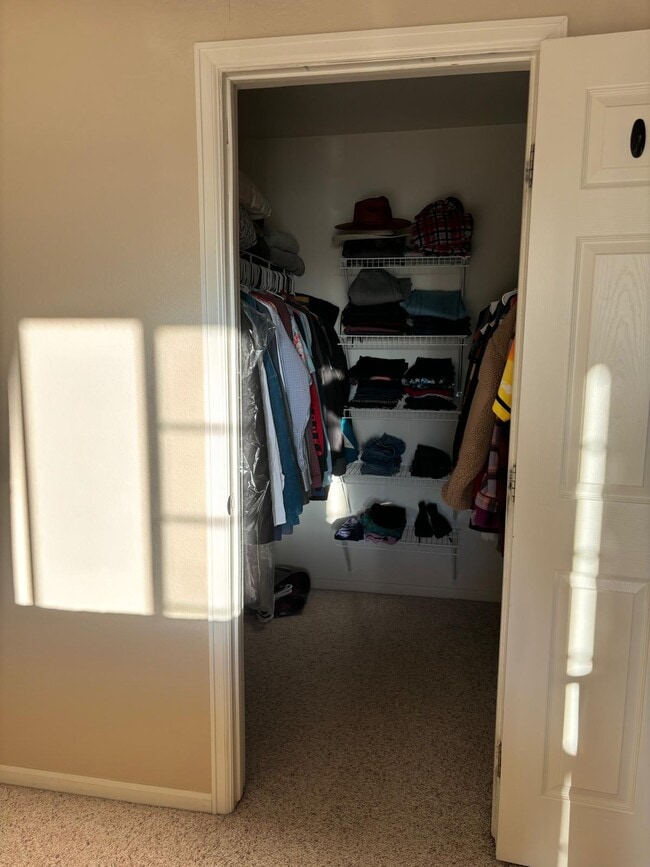 17497 Nature Walk Tr in Parker, CO - Building Photo - Building Photo