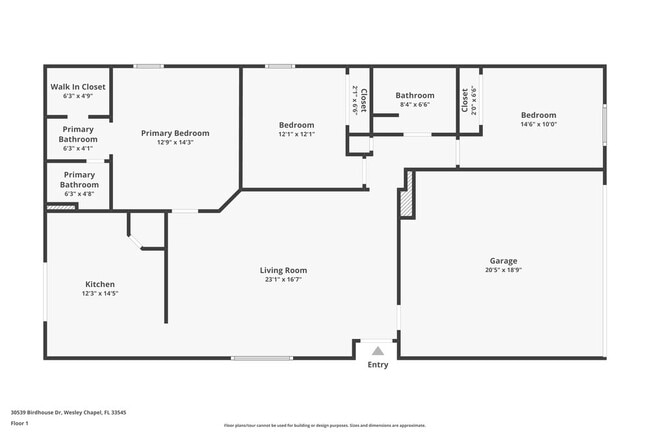 30539 Birdhouse Dr in Wesley Chapel, FL - Foto de edificio - Building Photo