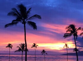 938 S Kihei Rd, Unit ID1370210P in Kihei, HI - Building Photo