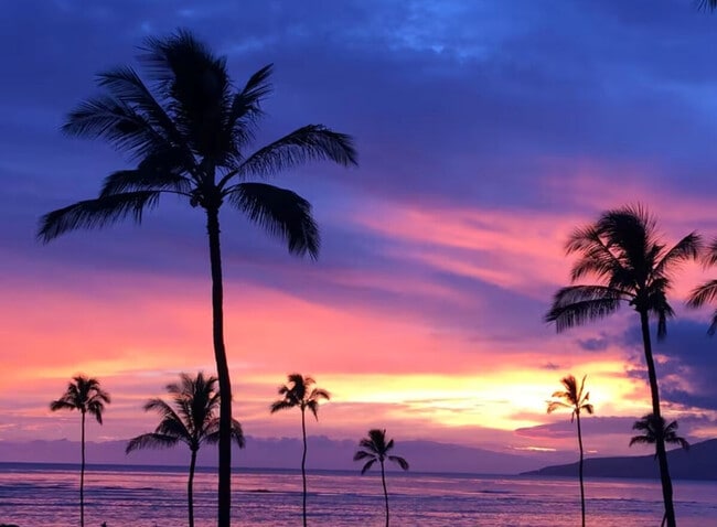 property at 938 S Kihei Rd