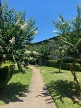 8315 Jorine Dr in Houston, TX - Building Photo - Building Photo