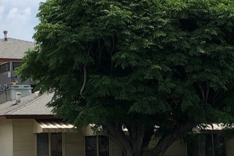 5716 Kester Ave in Los Angeles, CA - Building Photo