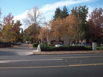 034 - Westwood Trees in Chico, CA - Building Photo