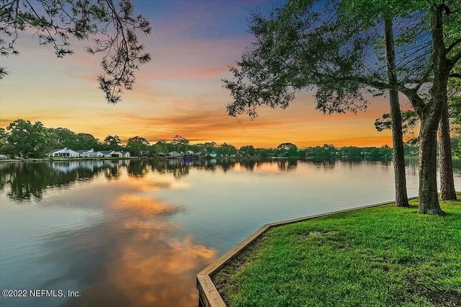 11290 Lake Mandarin Cir E