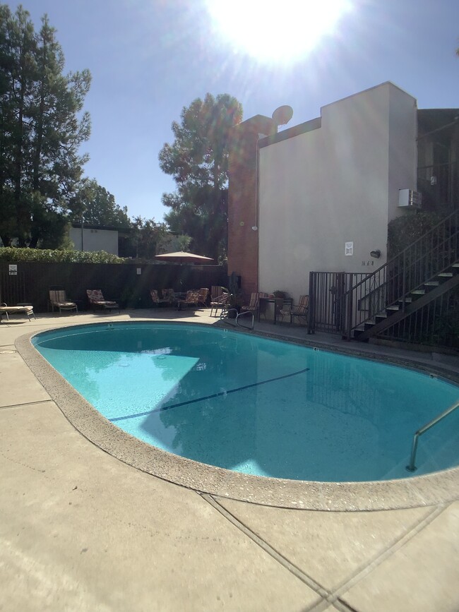 11905 Kling Street Building LLC in Valley Village, CA - Building Photo - Building Photo
